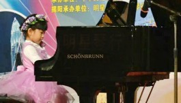 森柏龙钢琴助阵第八届世界华人艺术节广东选拔赛 