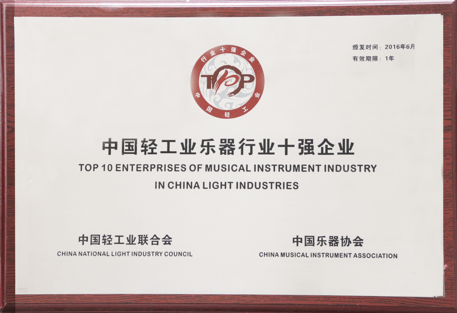 2015年度中国轻工业乐器行业十强企业（奖牌）_meitu_34.jpg